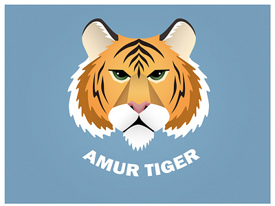Amur Tiger illustration animal illustration animal logo animals illustrated big cats blue design fauna graphic design illustration tiger tiger logo vector