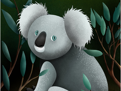 koala illustration