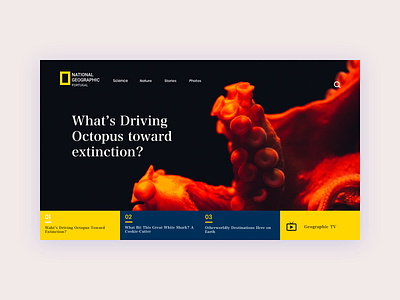 National Geographic - New Concept branding design firstshot flat minimal news ui ux web website