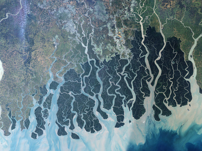 The Sundarbans bangladesh