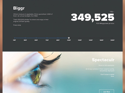 Flickr website redesign (concept)