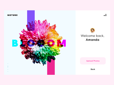 Photo Sharing App welcome screen action actions avatar colorful colors elegant flower log in pastel profile simple ui user welcome