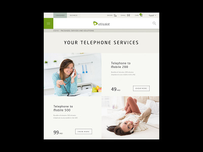 Etisalat - Telephone Services android app devices digital design interface ios mobile modern packages page product design services solutions telephone ui user interface ux web design website