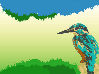 Bird Kingfisher artwork illustrator design
