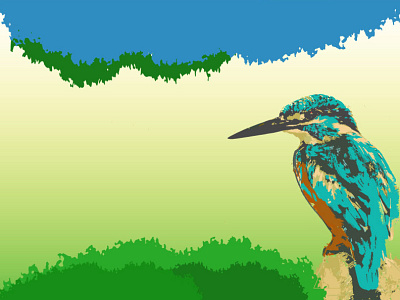 Bird Kingfisher