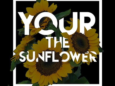 Your The Sunflower animation art branding character design graphic design handlettering icon illustration illustrator lettering lettermark letters logo photoshop sketch typography vector web