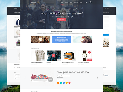 Steady - Ecommerce Final Product