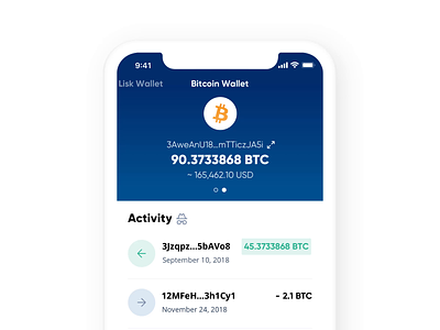 Lisk Mobile - Discreet Mode activity app apps bitcoin data discreet feed flat icon icons interface minimal mobile sensitive transaction ui ux wallet