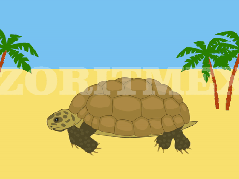 Tortoise by Zoritmex cartoon children desert fun kids palms sand tortoise turtle