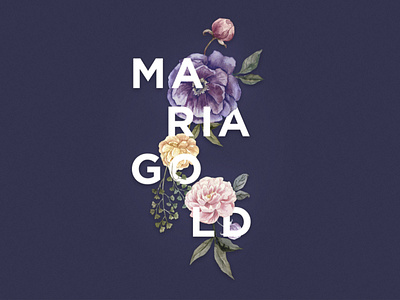 Maria Gold's website design flowers graphic design web design