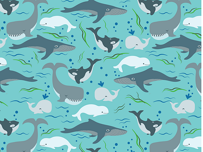 Whale Socks for the Ocean Conservancy
