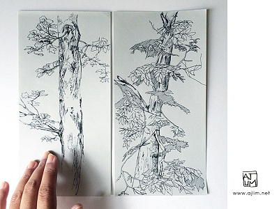 Ajlim008 freehand ink nature nature study pen quick sketch sketch sketchbook study trees