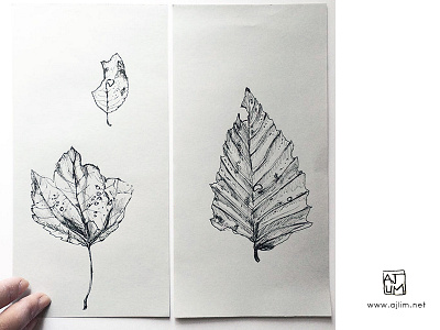 Ajlim009 freehand ink nature nature study pen quick sketch sketch sketchbook study trees