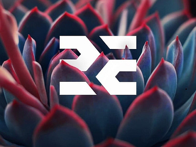 2E - Brand Identity. branding design icon illustration logo typography