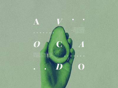 AVOCADO