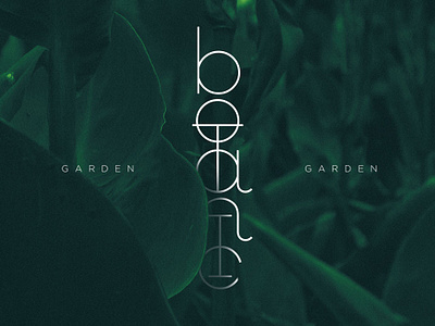Canna Indica botanic botanic garden botanical botanical art design graphicdesign green greenery herbal natural nature type typedesign typography