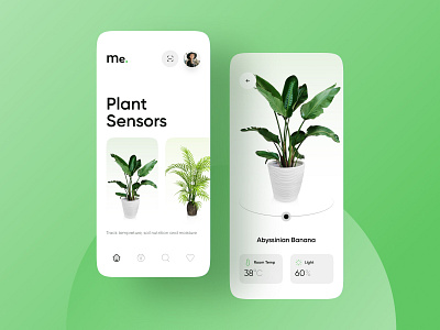 Plants Application 3d app clean dailyui design flat icon illstration minimal plants app typography ui ux vector