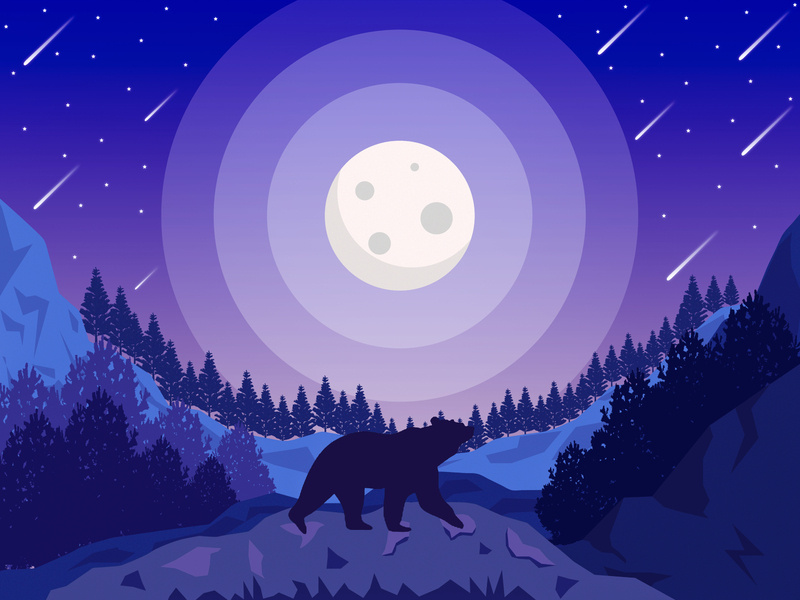 Full Moon Designs Themes Templates And Downloadable Graphic Elements On Dribbble