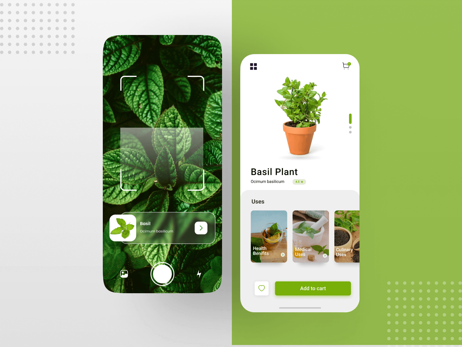 Plant Scanner App UI Design by Bipin Vishal on Dribbble