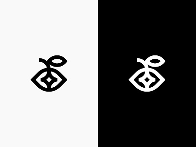 Personal Branding - Logomark Exploration branding eye fruit leaf logo logomark personal spark star wonder