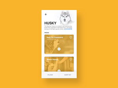 Dog Trick Profile concept design dog huskies husky mobile pet profile ui ux
