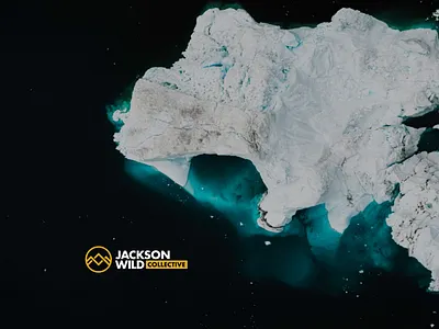 Jackson Wild Branding adventure branding logo