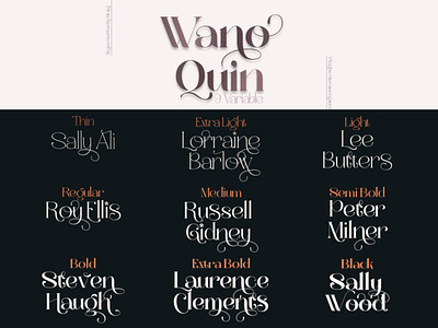 Wano Quin Elegant Serif Font Family branding design designer font font awesome font design font family fonts letter typography