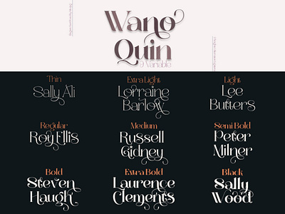 Wano Quin Elegant Serif Font Family