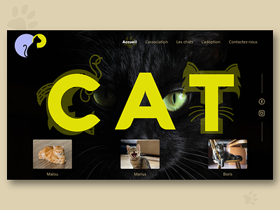 Cat webdesign black creative design dribbble figmadesign typogaphy ui ux web webdesign website website design yellow