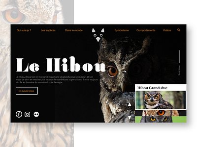 Owl home website adobe adobexd bird creative design dribbble graphic design nocturnal typography ui ux web webdesign website