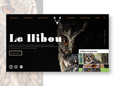 Owl home website