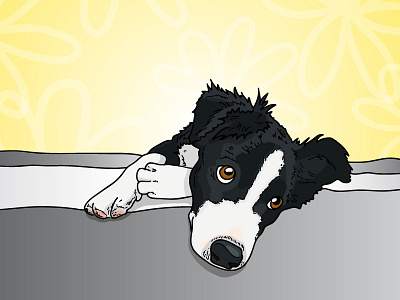 June Carter animal black border collie dog flower gray illustration nashville puppy white yellow