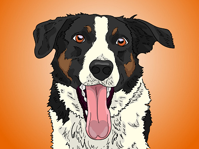 Fly animal black border brown collie dog illustration nashville orange puppy tennessee white