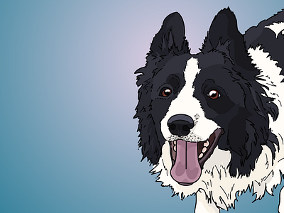 Callie black blue border collie creative cute dog dog illustration illustration nashville puppy tennessee white
