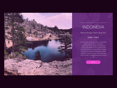 Travel Website Card app design minimal ui web website