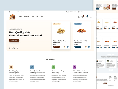 Landing Page Concept Design for Online Nuts Store
