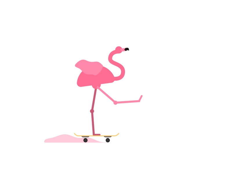flamingo | skate animation illustration
