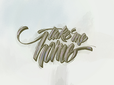 Take Me Home brush lettering graffiti hand lettering illustration lettering procreate typography.