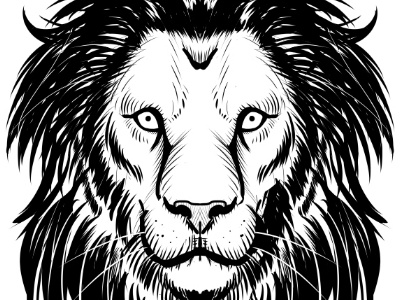 Lion Artwork black and white digital drawing illustration inks lineart lion wild