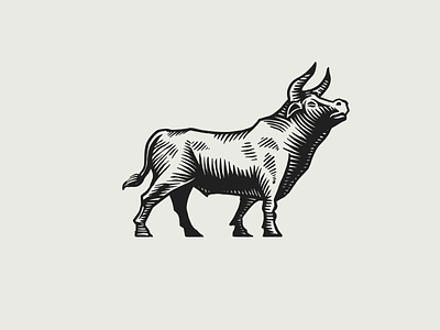 Handrawn Bull bull design handmade illustration logo proud victory
