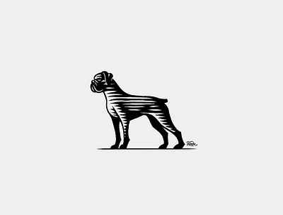 Congo the Dog blackwhite boxer dog handmade illustration lineart monochromatic monochrome scratchboard vectorart