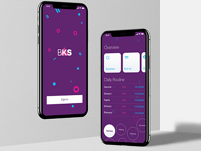 BKS App Design Interface