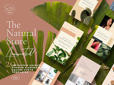 Natural Store Animated Stories (Sample) animated freebies instagram stories instagram templates