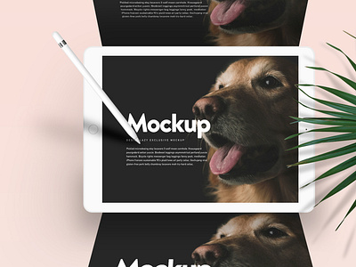 Doglr — iPad Mockup Scene PSD