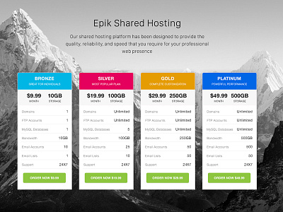 Epik Hosting clean dark homepage hosting landing layout modern packages pricing