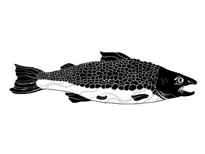 Big Fish applepencil art black white blackandwhite creature design designer fish illustration illustrator nature pixel pixelart procreate procreate art salmon water