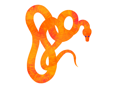 Tangerine Snake