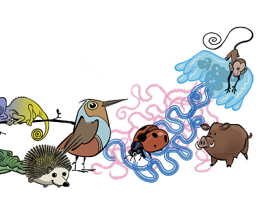 composición con animales 2/2 ilustración ilustración digital libro infantil