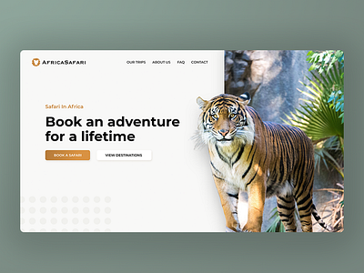 Safari Hero hero photography ui ux webdesign website