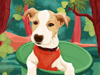 Brownie, the rescue doggo on one of his adventures. adventure animal art art branding design digitalart illustration illustrator instagram post logo pets photoshop